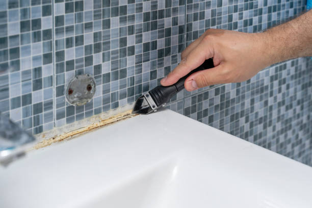 Best Residential Mold Remediation in Seffner, FL